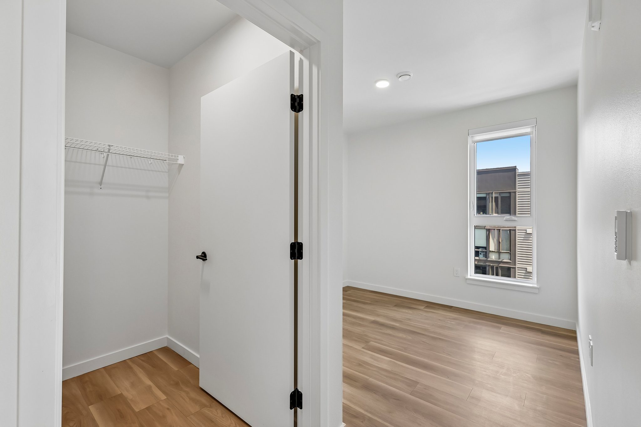 Tanager — image 19